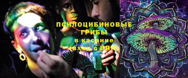 крисы Белоозёрский