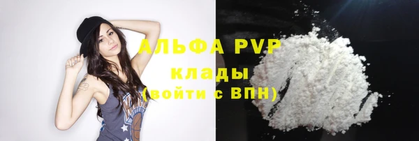 крисы Белоозёрский