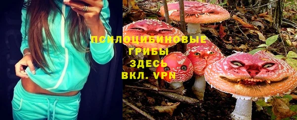 крисы Белоозёрский