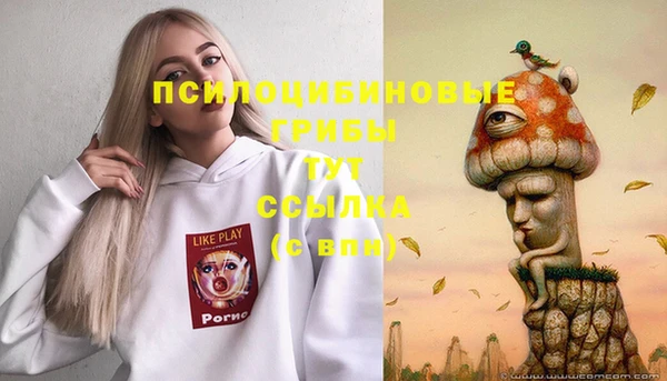 MDMA Premium VHQ Белокуриха