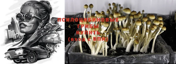 MDMA Premium VHQ Белокуриха